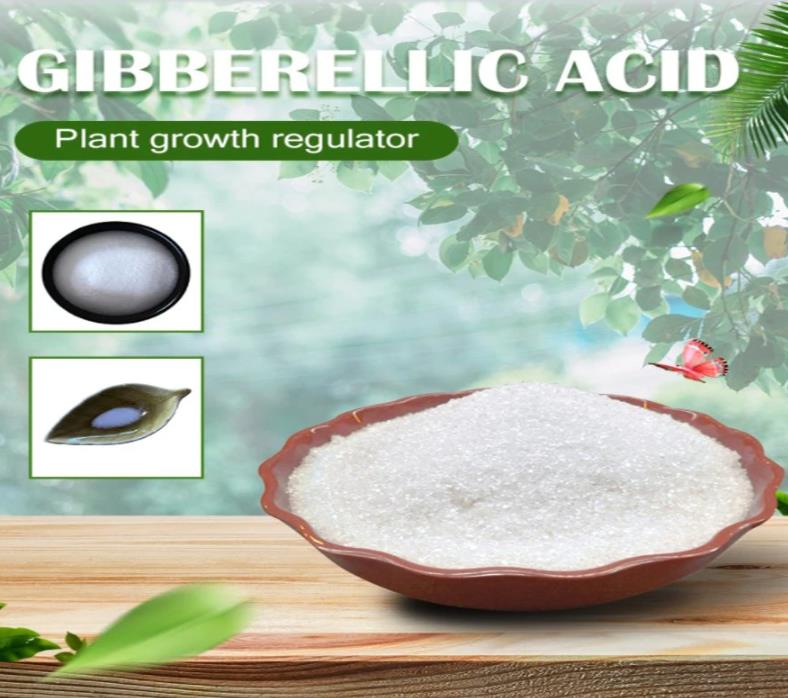 Ácido Giberélico - Giberelina - GA3 (+90%) - GA3 - Ácido Giberélico - Hormônio Vegetal