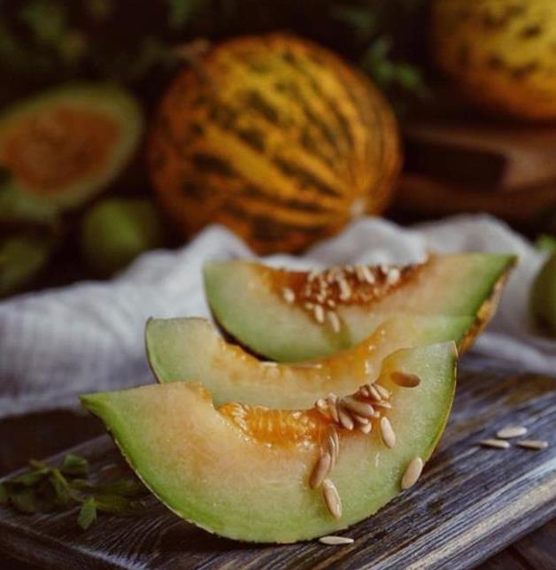 Cucumis melo Alacati (Certificação Orgânica) - Melão Alacati, Melão Turco Alacati