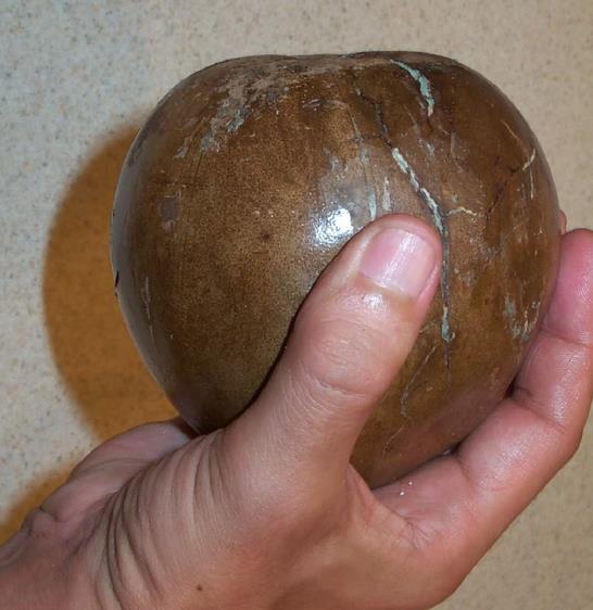 Alibertia patinoi (Borojoa patinoi) - Borojó, Borojo, Borojoa