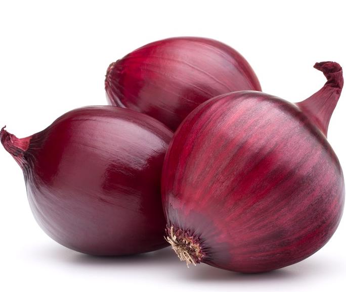 Allium cepa Rouge Foncee de Hollande (C.O) - Cebola Vermelha Escura da Holanda, Cebola Vermelho Vinho Brunswick