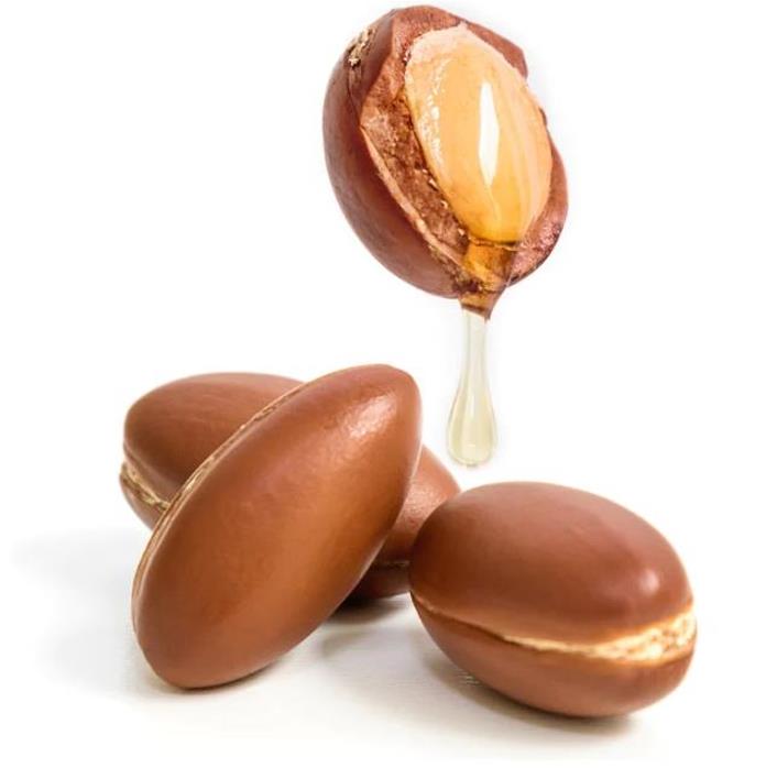 Argania spinosa - Árvore Argan, Ouro Marroquino, Árvore da Vida