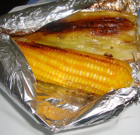 Zea mays True Gold (C.O) - Milho Doce Ouro Verdadeiro