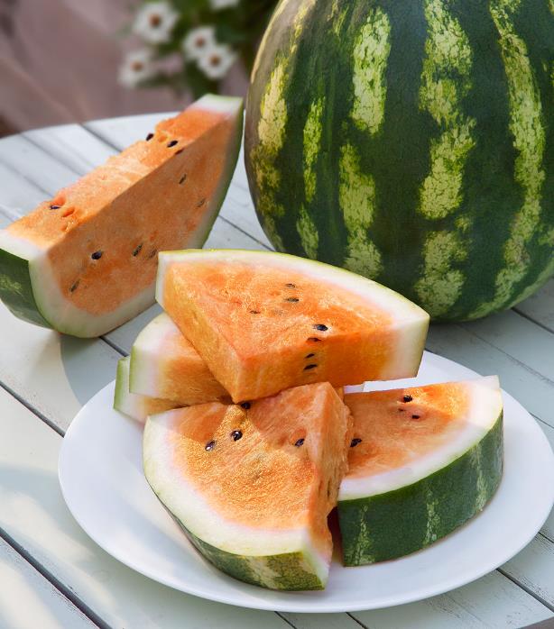 Citrullus lanatus Clay County Yellow Meat - Melancia Polpa Amarela do Condado de Clay, Melancia Amarelo Laranja do Alaba