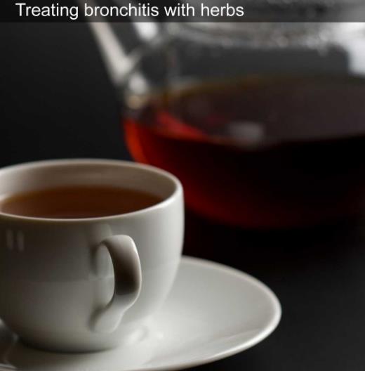 Marrubium vulgare - Marroio, Marroio branco, Hortelã de folha grossa, Hortelã do Maranhão, Incenso