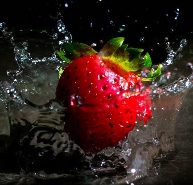 Fragaria x Ananassa fragissimo - Morango Fragissimo