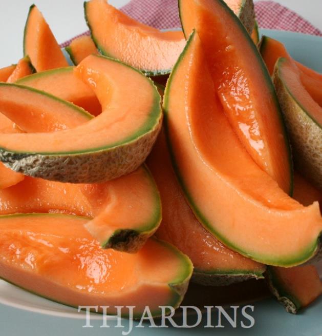 Cucumis melo coração de ouro - Melão Cantaloupe Coração de Ouro