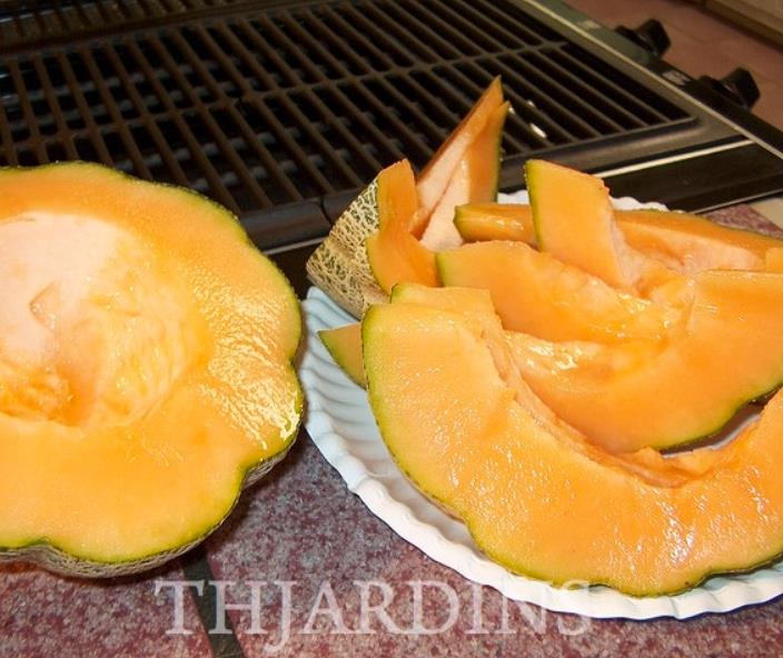 Cucumis melo coração de ouro - Melão Cantaloupe Coração de Ouro