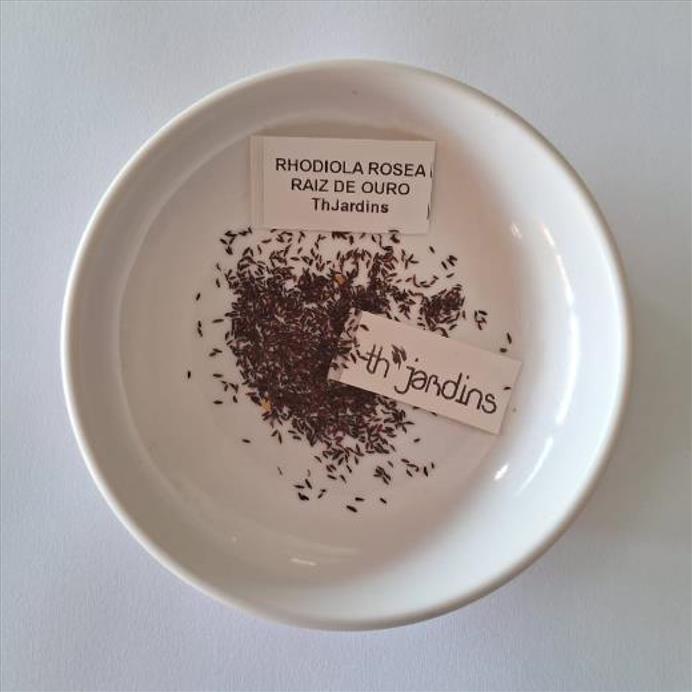 Rhodiola rosea - Raiz de Ouro, Rhodiola, Raiz Dourada, Raiz do Ártico, Roseroot, Golden Root