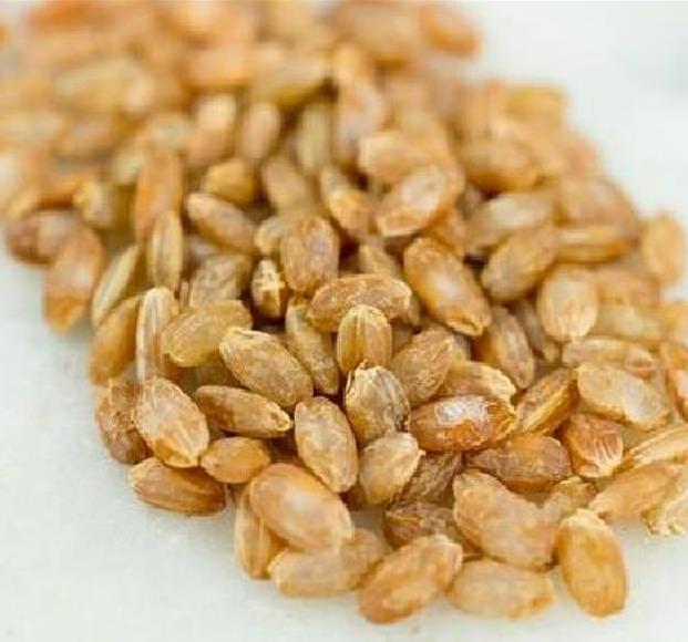 Oryza sativa Akamuro (Certificação Orgânica) - Arroz Akamuro, Arroz vermelho