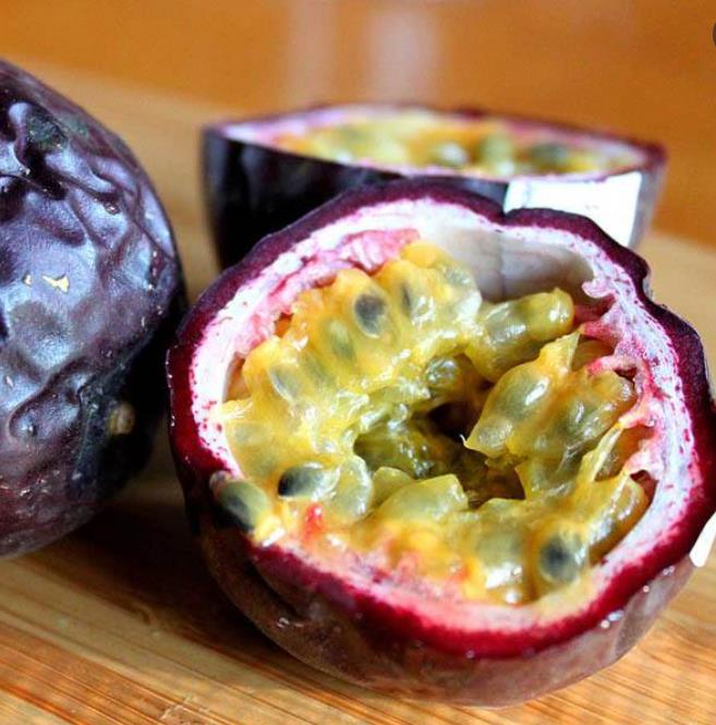 Passiflora edulis 'Purple Giant' - Maracujá Roxo Gigante, Videira da Paixão
