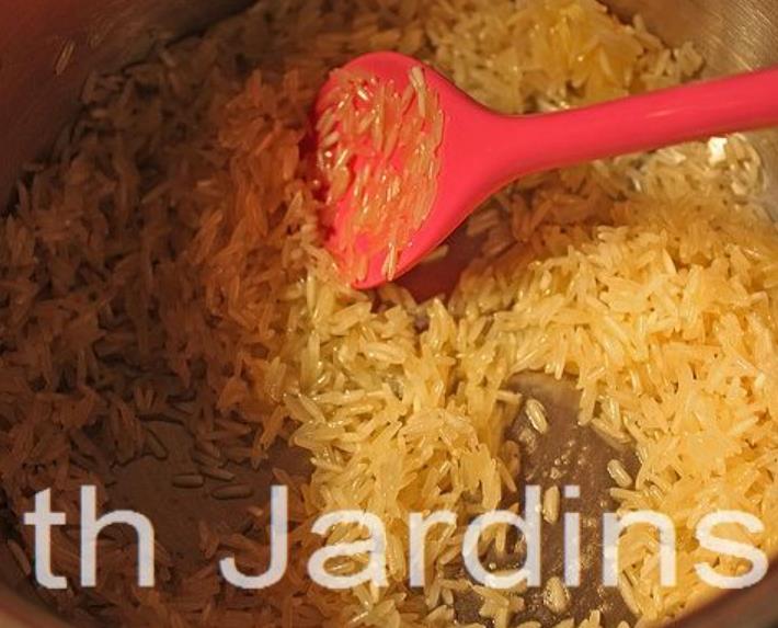 Oryza sativa Blue bonnet - Arroz Blue bonnet, Arroz de Belize, Arroz Armênio