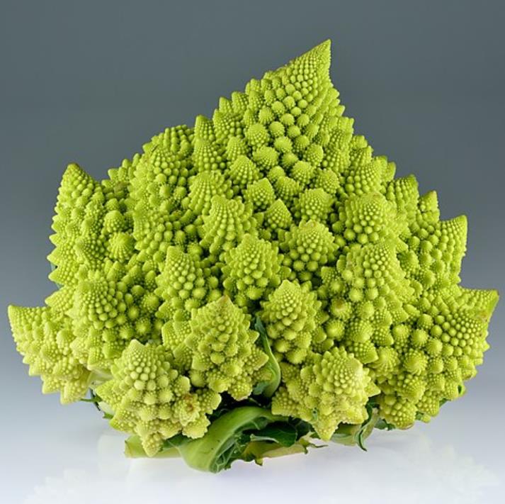 Brassica oleracea Botrytis Romanesco (C.O) - Brócolis Romanesco, Couve-Flor Romanesco, Broccoflower