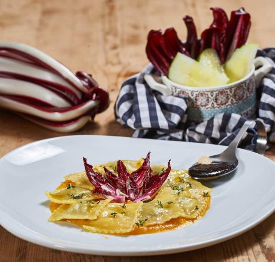 Cichorium Intybus Rossa Di Treviso - Endívia Italiana Roxa, Chicória Roxa De Treviso, Radicchio