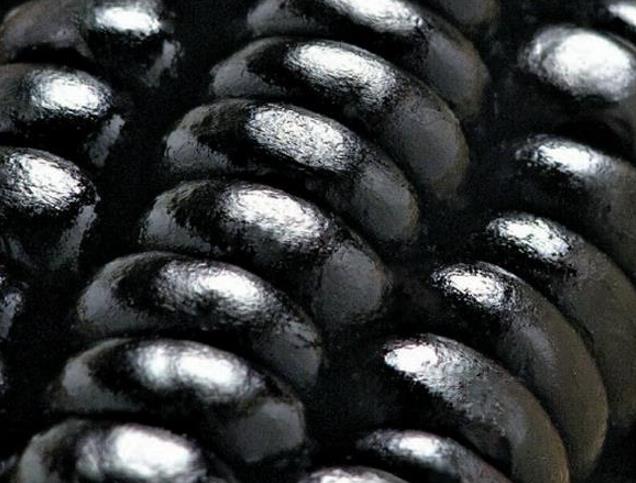 Zea mays kculli black  (certificação orgânica) - Milho negro, milho kculli negro, kulli negro