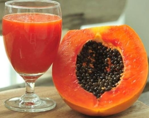 Carica papaya 'Coorg Honey Dew' - Papaya Honey Dew, Papaia Orvalho de mel, Mamão papaia Orvalho de mel