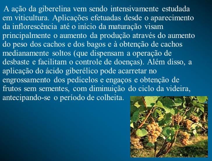 Ácido Giberélico - Giberelina - GA3 (+90%) - GA3 - Ácido Giberélico - Hormônio Vegetal