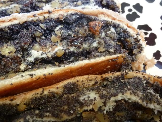 Papaver somniferum Hen and Chickens - Papoula Galinhas e Pintinhos, Beadseed poppy, Bread seed poppy