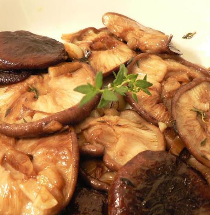 Thymus (Kit com 4 variedades) - Tomilho, Timo (Kit com 4 variedades)