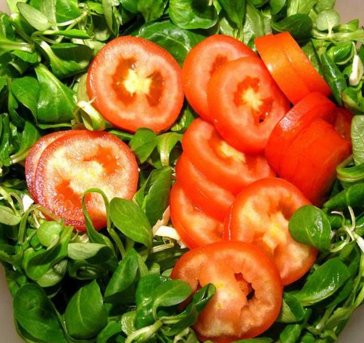 Valerianella Locusta - Coquille De Louviers - Alface De Cordeiro, Alface-da-terra, Alface-de-coelho, Canónigo