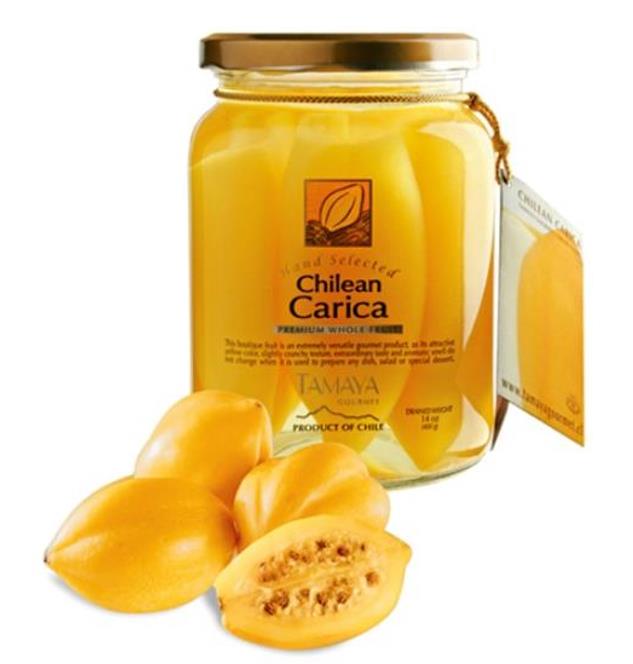 Carica pubescens Cobquecura (Vasconcellea pubescens Cobquecura) - Mamão Papaia Cobquecura, Mamão do Chile, Mamão de Cobq