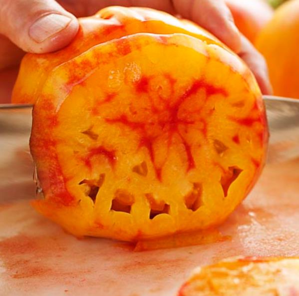 Solanum lycopersicon Pineaplle Striped - Tomate Abacaxi