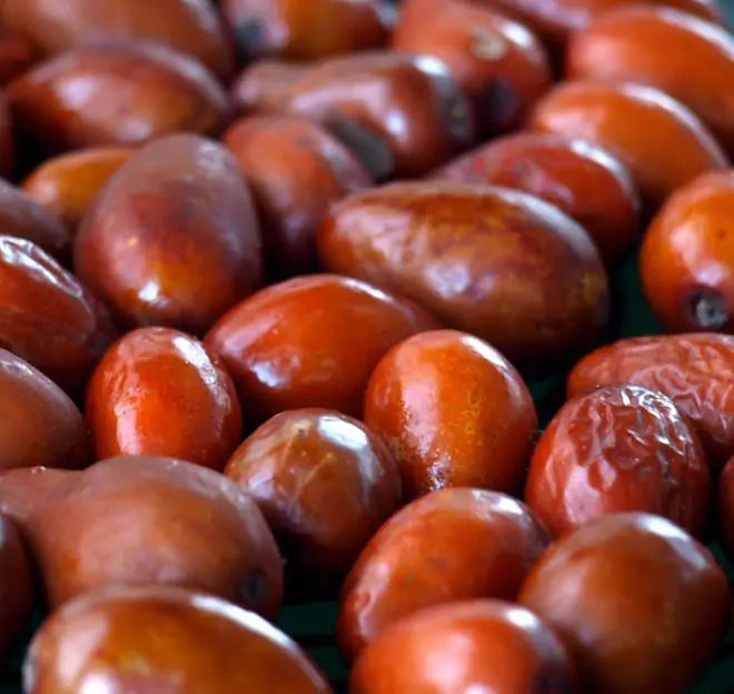 Ziziphus jujuba - Jujuba Chinesa, Jujubeira, Tâmara Vermelha, Tâmara Chinesa