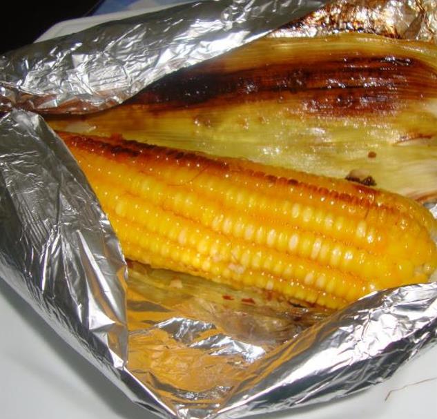 Zea mays Buhl Sweet (C.O.) - Milho Doce 'Buhl'