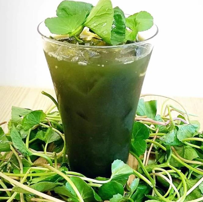 Centella asiatica - Centelha Asiática, Gotu kola, Brahmi