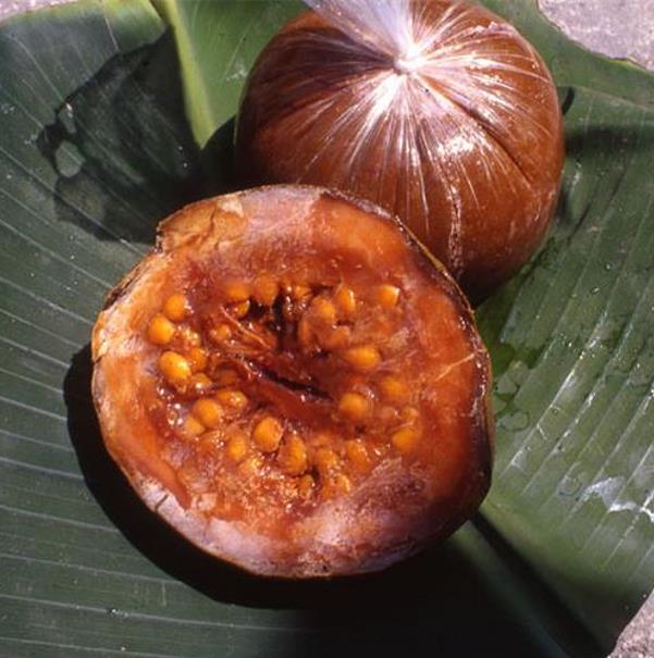 Alibertia patinoi (Borojoa patinoi) - Borojó, Borojo, Borojoa
