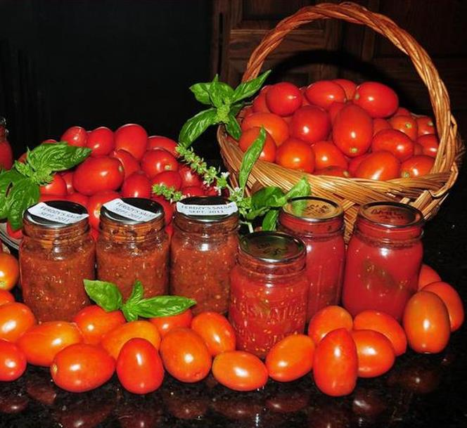 Solanum lycopersicon Roma VF - Tomate Italiano Pomodoro Roma VF, Tomate Pomo d'Oro Roma VF