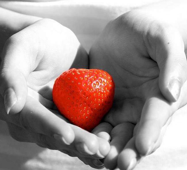 Fragaria x Ananassa fragissimo - Morango Fragissimo