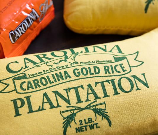 Oryza sativa Carolina gold - Arroz Carolina Gold, Arroz de ouro da Carolina, Sementes de ouro, Grãos de ouro