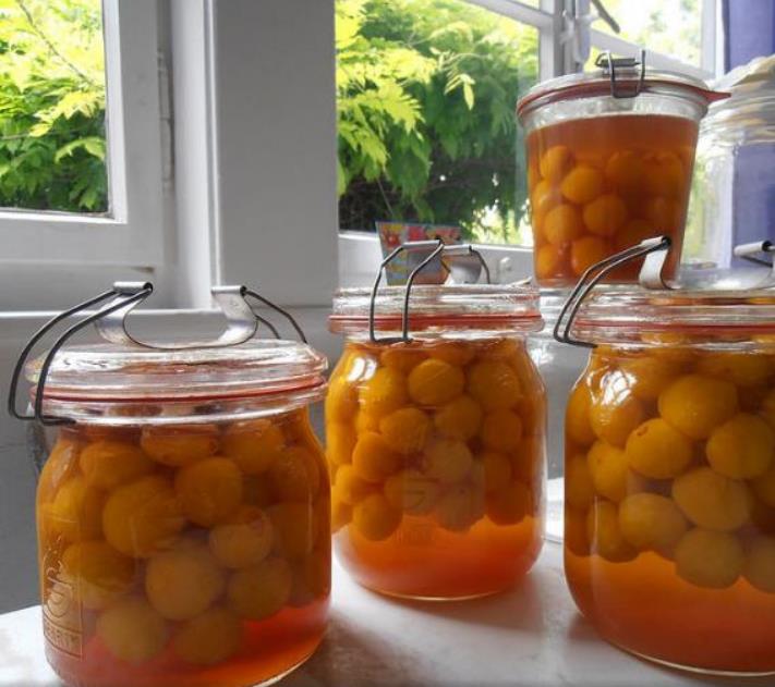 Geoffrroea decorticans - Madeira Verde do Chile, Chanal, Chanar, Chañar