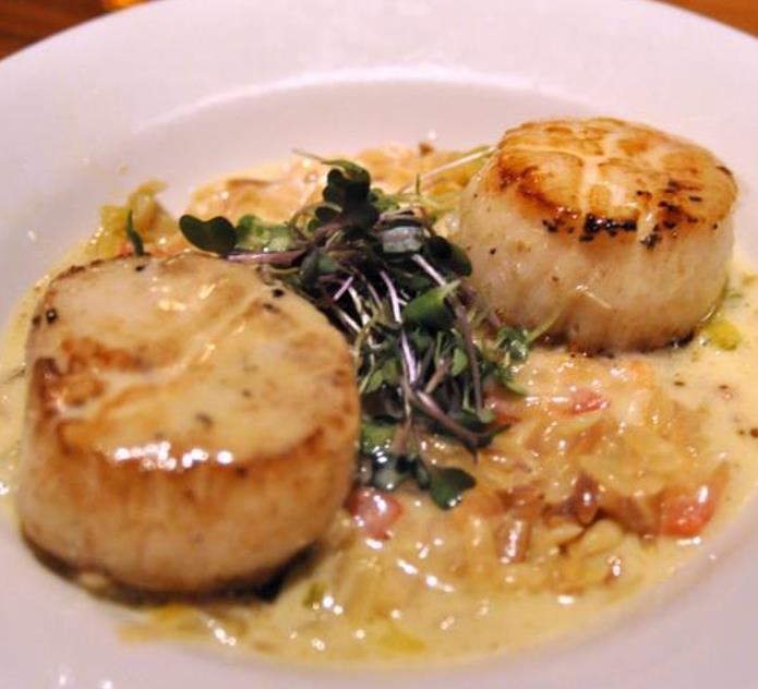 Allium Porrum Saint Victor D Hiver (Violet Leaf) - Alho Poró Saint Victor