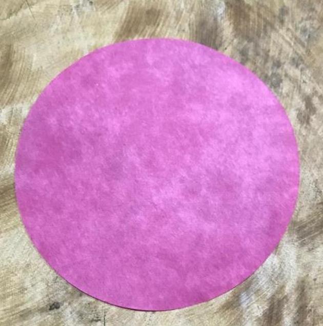 Smoke Seed Primer Plus - Super Smoke Plus (Disco de Fumaça para Germinação) - Disco de Fumaça para tratamento e quebra d