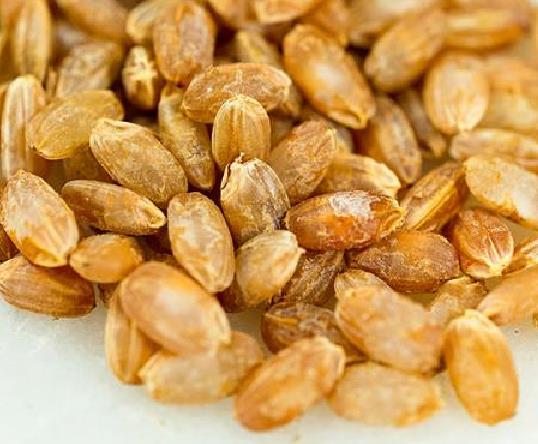 Oryza sativa Akamuro (Certificação Orgânica) - Arroz Akamuro, Arroz vermelho