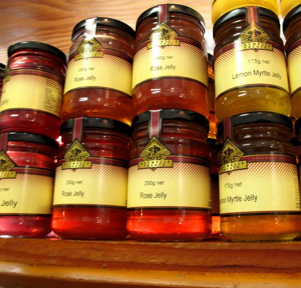 Backhousia citriodora - Murta Limão, Árvore Verbena doce, Australian Lemon Myrtle