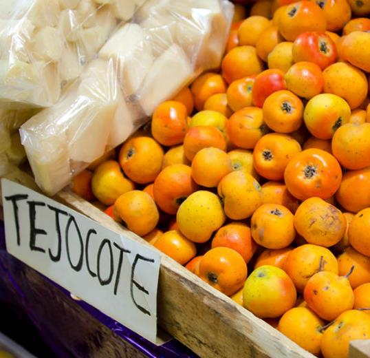Crataegus mexicana - Planta do coração, tejocote, mini-maça mexicana
