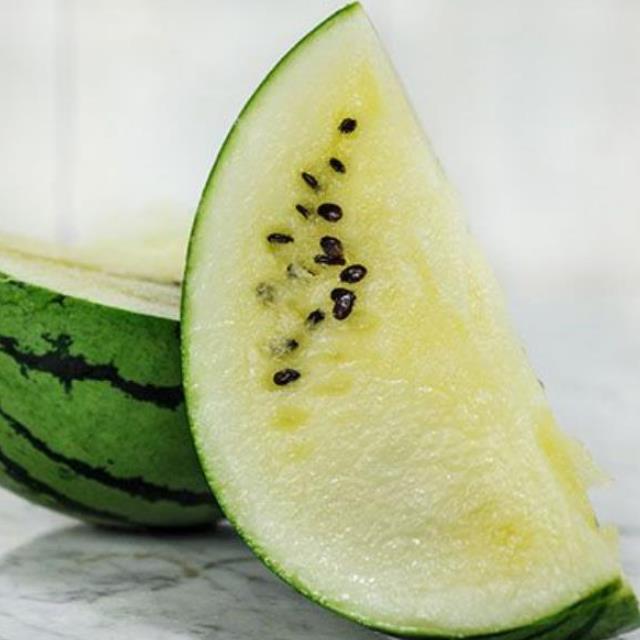 Citrullus lanatus Cream of Saskatchewan - Melancia Creme de Baunilha da Rússia, Melancia Creme de Saskatchewan