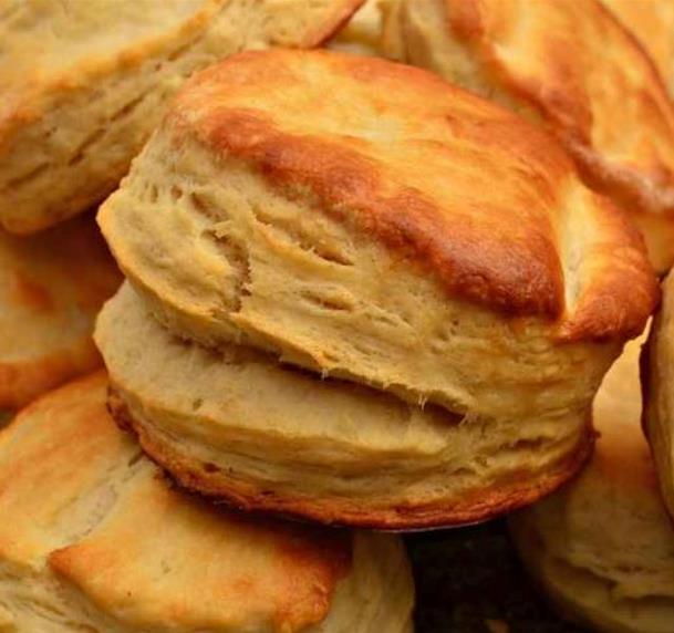 Zea mays Tennessee Red Cob (C.O) - Milho Branco da Espiga Vermelha do Tennessee