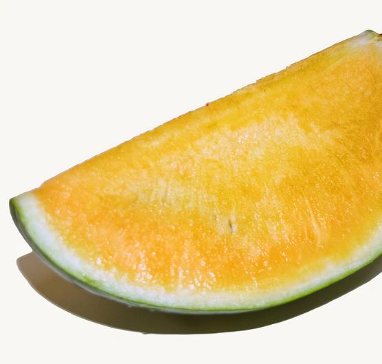 Citrullus lanatus Janosik - Melancia Janosik, Melancia de Polpa Amarelo Ouro Polonesa, Melancia Amarela