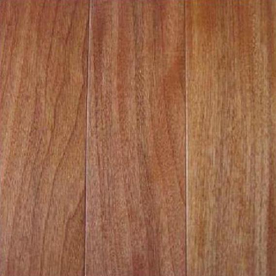 Chukrasia tabularis - Cedro Branco, Mogno Indiano, Sequoia Indiana, Amêndoa da Birmânia