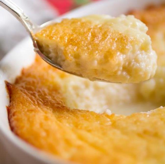 Zea mays Tennessee Red Cob (C.O) - Milho Branco da Espiga Vermelha do Tennessee