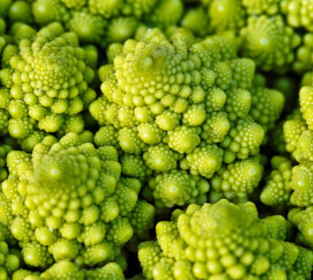 Brassica oleracea Botrytis Romanesco (C.O) - Brócolis Romanesco, Couve-Flor Romanesco, Broccoflower