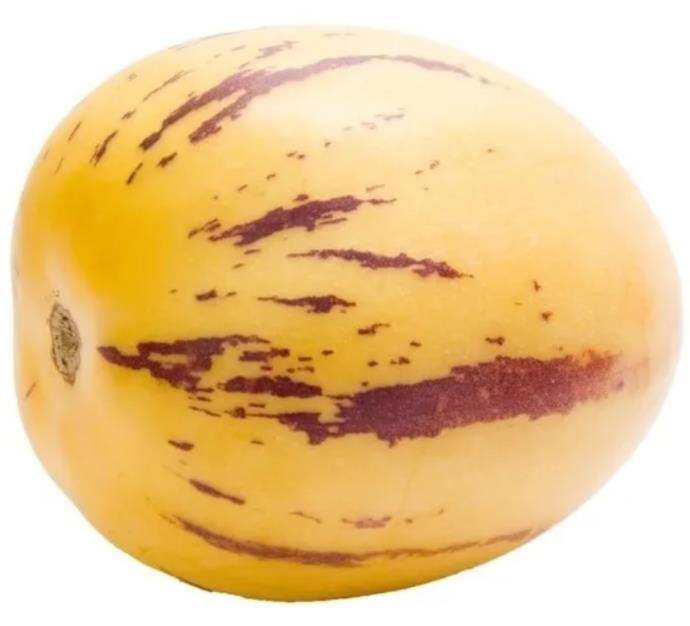 Solanum muricatum - Melão-Pera, Melão Andino, Melão dos Andes, Pepino doce