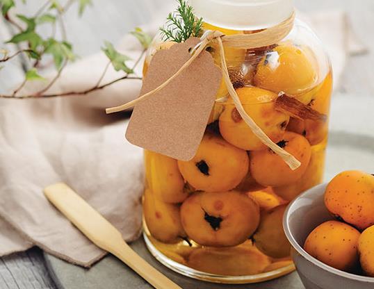 Crataegus mexicana - Planta do coração, tejocote, mini-maça mexicana