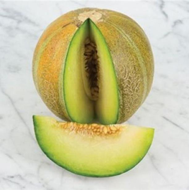 Cucumis melo Ha'Ogen (Certificação Orgânica) - Melão de Israel, Melâo Ha Ogem, Mini Melão Kibbutz, Melâo HaOgem