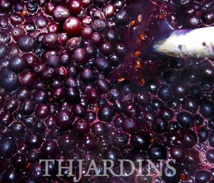 Mahonia aquifolium - Uva do Oregon, Berberis do Oregon