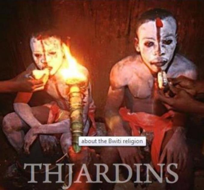 Tabernanthe iboga (Muda) - Iboga, Árvore da Sabedoria, Árvore do Conhecimento, Ibogaina