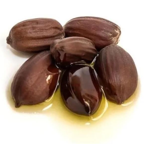 Simmondsia chinensis - Jojoba